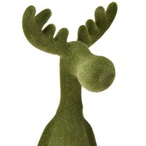 tételeket Elk szélű zsámoly díszes szélű ülőgarnitúra zöld M31cm 2 darab