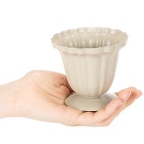 tételeket Dekoratív tál, krémszínű trófea, kicsi, 10cm