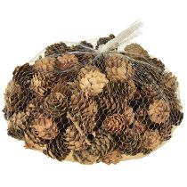 tételeket Fenyőtobozok, természetes tobozdíszek, hálós kiszerelésben, 2,5-3,5 cm, 300 g