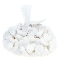 tételeket Kavics a hálóban Fehér 2,5cm - 4cm 1kg