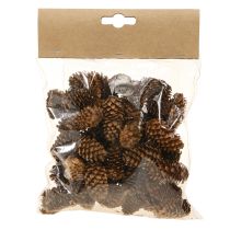 tételeket Kis hemlock tobozok díszes natúr tobozok Advent 3-4cm 100g