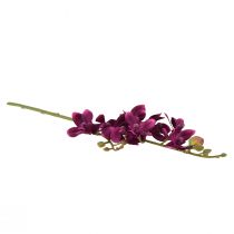 tételeket Kis orchidea Phalaenopsis művirág sötétlila 30cm