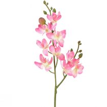 Kis orchidea Phalaenopsis művirág rózsaszín 30cm