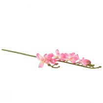 tételeket Kis orchidea Phalaenopsis művirág rózsaszín 30cm