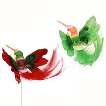 tételeket Kolibri dekoráció rúdon türkiz bordó 13-15cmx9-10cm 6 db
