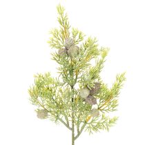 tételeket Műfenyő ág tobozokkal, mint asztaldísz, 39 cm, 4 darab