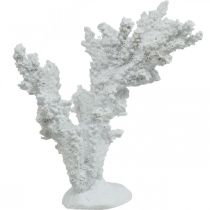Tengeri dekoráció korall fehér mesterséges dekorációs állvány 11×12cm