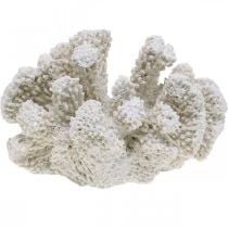 Tengeri dekoráció korall fehér mesterséges polyresin kicsi 13,5x12 cm