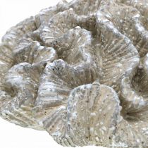 Tengeri dekoráció korall bézs fehér mesterséges polirezin 23x20cm