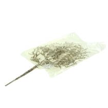 tételeket Korall ág csillámos világos arany 3db