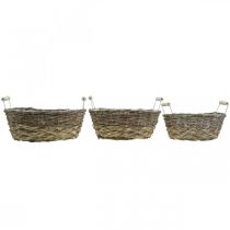 tételeket Natúr kosár ültetéshez, füles kosár, ültetőgép kopott elegáns fehér mosott L31/27,5/24cm H12/11,5/10cm 3 db-os készlet
