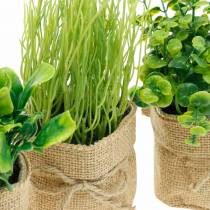 tételeket Fűszernövények cserépben Konyhai mesterséges fűszernövények metélőhagyma, bazsalikom és saláta 3db