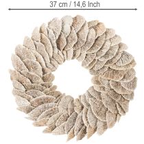 tételeket Koszorúfa Szivacs Természetes Dekoráció 37cm