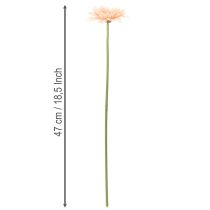 tételeket Mesterséges gerbera virágok barackszínű 47cm 6db