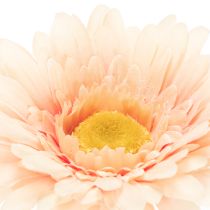 tételeket Mesterséges gerbera virágok barackszínű 47cm 6db