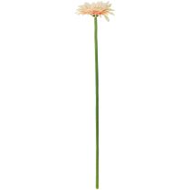 tételeket Művirág Gerbera Sárgabarack 47cm
