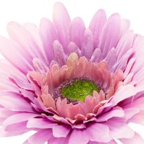 tételeket Műgerbera kerti virágok, lila, 47 cm, 6 darab