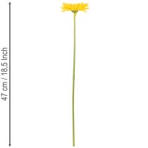 tételeket Műgerbera virágok, napsárga, kerti virág, 47 cm, 6 darab