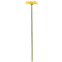 tételeket Művirágok Gerbera Sun Yellow Kerti Virág 47cm