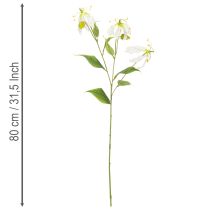 tételeket Művirág Gloriosa, fehér és sárga, elegáns virágág dekorációhoz, 80 cm, 3 darab