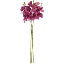 tételeket Mesterséges orchideák lila művirágok mint igazi 56cm 3 db