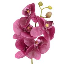 tételeket Mesterséges orchideák lila művirágok mint igazi 56cm 3 db