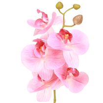 tételeket Mesterséges orchideák rózsaszín művirágok, mint az igazi 56cm 3 db