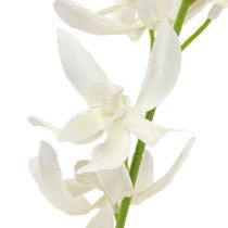 tételeket Artificial Orchid Branch Cream White Flowers L90cm 2db