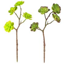 tételeket Mesterséges pozsgások szárral zöld lila válogatott 32cm 2db