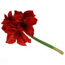tételeket Mesterséges Amaryllis karácsonyi virágok piros művirágok 40 cm