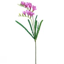 tételeket Műkerti virágok frézia lila 58cm