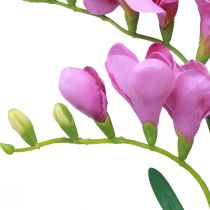 tételeket Műkerti virágok frézia lila 58cm
