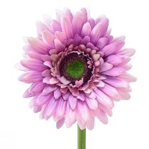 Művirágok Gerbera Purple 47cm