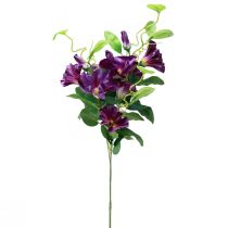 tételeket Műkerti virágok Petunia Purple 85cm