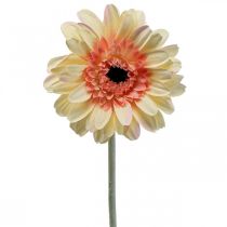 tételeket Mesterséges gerbera virág művirág sárgabarack Ø11cm L50cm
