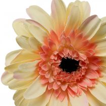 tételeket Mesterséges gerbera virág művirág sárgabarack Ø11cm L50cm