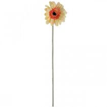 tételeket Mesterséges gerbera virág művirág sárgabarack Ø11cm L50cm