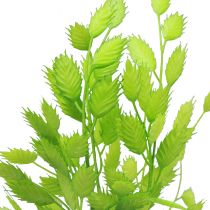 tételeket Műfüves dekoratív remegőfű zöld 47cm-es köteg 3 db