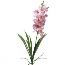 tételeket Mesterséges orchidea rózsaszín fehér művirág orchidea 73cm