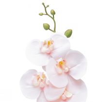 tételeket Mesterséges Orchidea Pink Phalaenopsis Real Touch 83cm