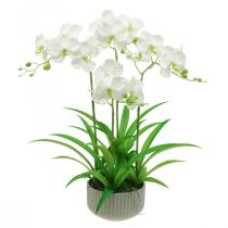 Mesterséges orchidea művirág fehér cserépben 60cm