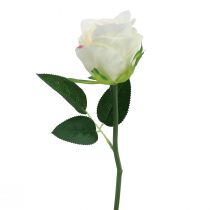 tételeket Műrózsa csokorban fehér 30cm 8 db