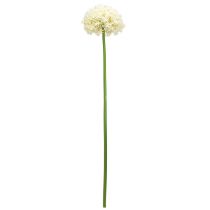 tételeket Artificial Allium Cream fehér díszhagyma Ø18cm L90cm