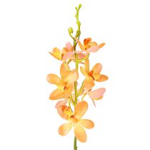 tételeket Mesterséges orchidea ág 8 Virág Narancs L38cm 2db
