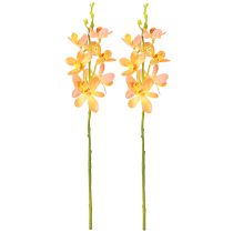 tételeket Mesterséges orchidea ág 8 Virág Narancs L38cm 2db