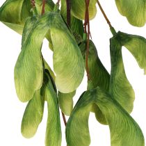 tételeket Műág platánfa sárgászöld 100cm 3db