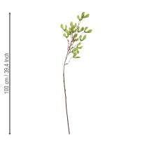 tételeket Műág platánfa sárgászöld 100cm 3db