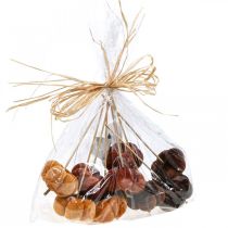 tételeket Deco sütőtök díszítő dugó narancs, barna puha Ø6,5m 9 db