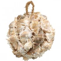 Deco golyós csigaház kagyló deco függő természet Ø12cm