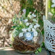 tételeket Golyós váza üveg virágváza kerek üveg dekoráció H10cm Ø11cm